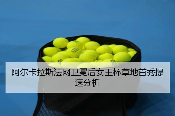 a-er-ka-la-si-fa-wang-wei-mian-hou-nv-wang-bei-cao-di-shou-xiu-ti-su-fen-xi-2-943.jpg